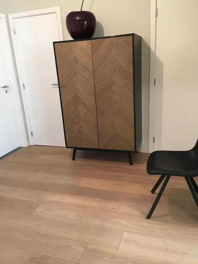 Apartament Appartement In Hartje Gent Belgia